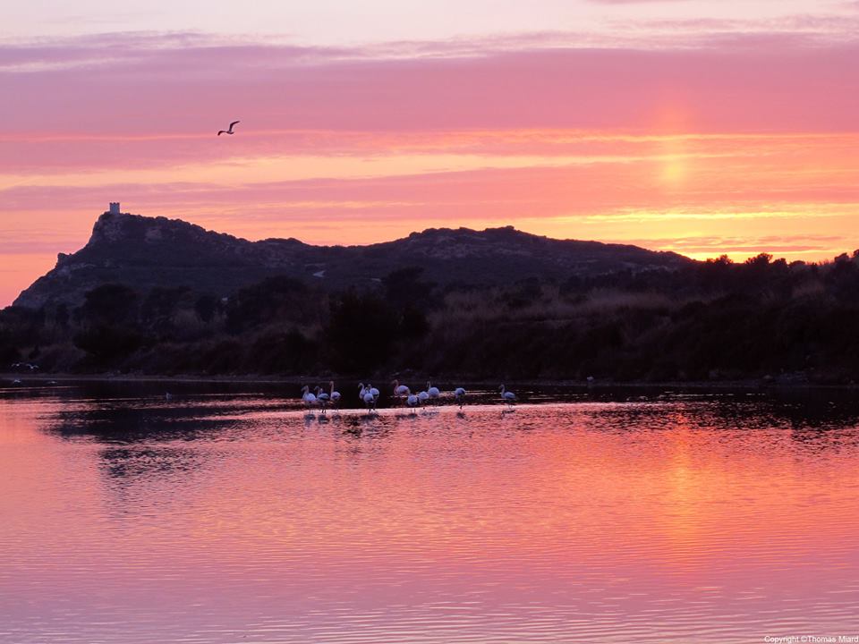 Coucher de soleil aux salins des Embiez