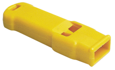 16303